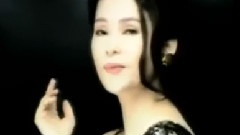 Too Cool To Fall In Love