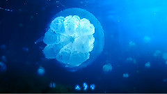 Aquatronica 電影水族館