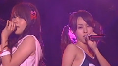 おしべとめしべと夜の蝶々