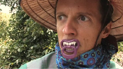 Magi-Cam Part 1 Grati-Tube