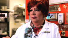 Foo Fighters - Hot Buns