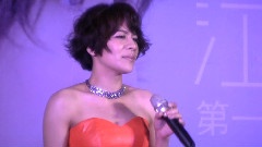 江美琪 - 待续...