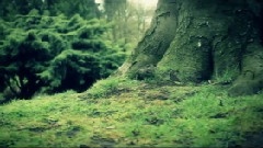 Secret Garden - Wake Up To Nature