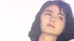 苏芮 - 想你在风中