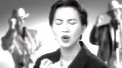 苏芮 - 停在我心里的温柔