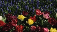 一生中最爱的人