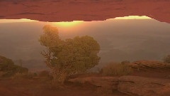 痛苦的时候最寂寞