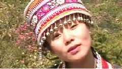 我爱家乡杜鹃红