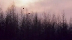 Club 8 - Love In December