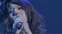 Alan - JAPAN PREMIUM BEST & MORE LIVE