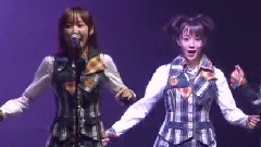 桜の花びらたち