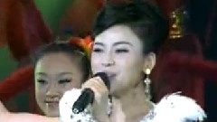 陈思思 - 美丽之路