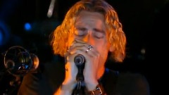 Nickelback - Animals