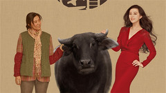 电影<我不是潘金莲>