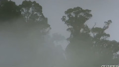 Enigma,音乐短片 - Esmell Of Desire &