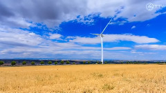 Starships Over Alice