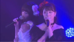 おしべとめしべと夜の蝶々