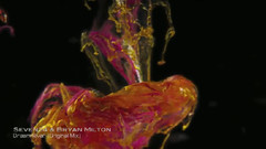 VA-Ambient World 8.0