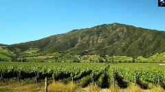 (弛放)The Long Way Home