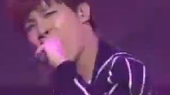 荷尔蒙战争2.0倍速