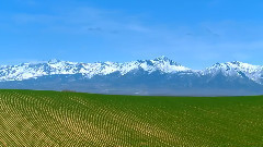 Kenny G,音乐短片 - Heart and Soul