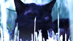 Yakuro - Blue The Color Of Dreams