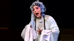 豫剧 - 豫剧名家演唱精选-五更惊雷2