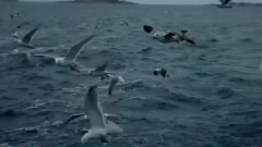 Now We Are Free (Hoyaa Remix)