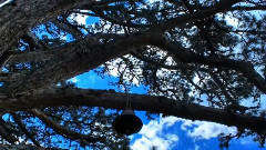 We Are Free (Uplifting TRANCE 2013 )