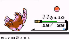 灿烈更新INS视频一则