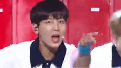 韩国综艺,韩国群星 - 珍爱