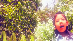 华语童星 - 幸福花