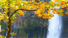 唯美音画 高山流水