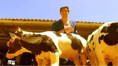 La Novia Estiueja A Salou