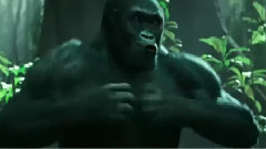 影视原声 - 新片速递 电影<泰山归来:险战丛林>中文电视宣传片呼吸