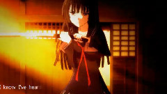 燃烧吧,次元之魂!