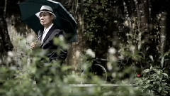 陈雷 - 感情的路