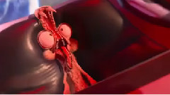 影视原声 - 新片速递 电影<冰川时代5:星际碰撞>精彩片段.