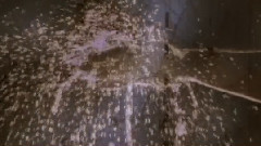 Enigma - Mea Culpa(Catholic Version)