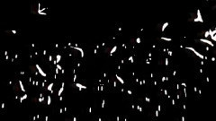 Solange & Binary Finary Subliminal Delusions