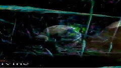 Anahid Night Vision Preview