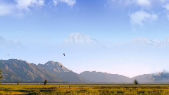 远山(天上的风)