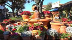 迈阿密和佛罗里达南部