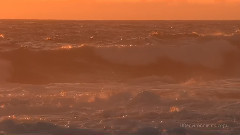 Waters Of Wide Agony