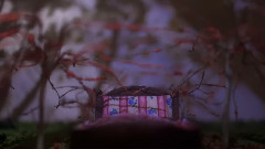 Light Shines Through Dust