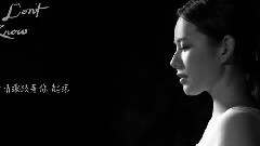 王诗安 - I Don't Know 歌词版