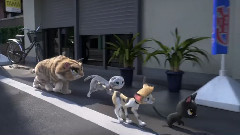 影视原声 - '黒い猫の歌'コラボ映像～