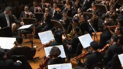 民乐群星 - 鸿雁