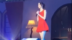 德寿宫石墙路的春天 第二版