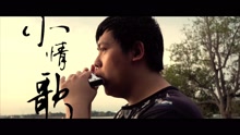  - 小情歌 Cover